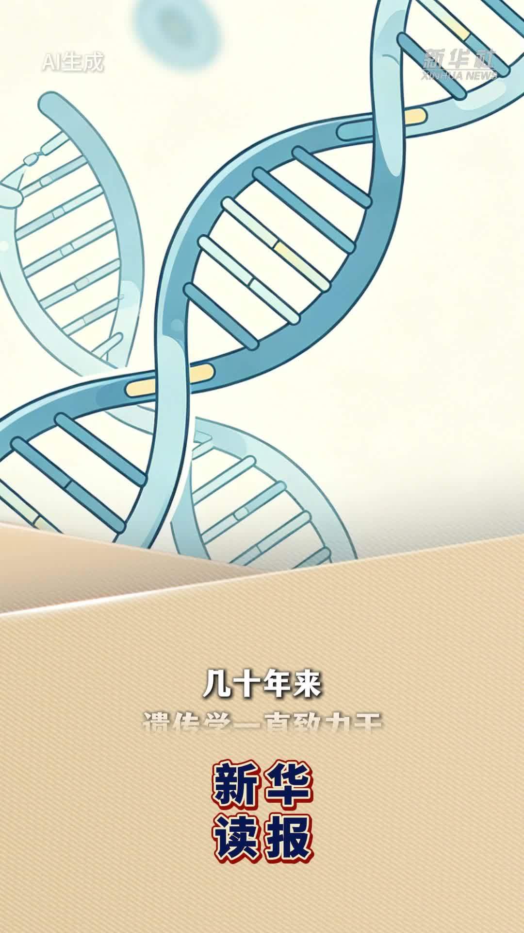 新华读报｜人类身高差从何而来？研究发现人类身高关键调控因子