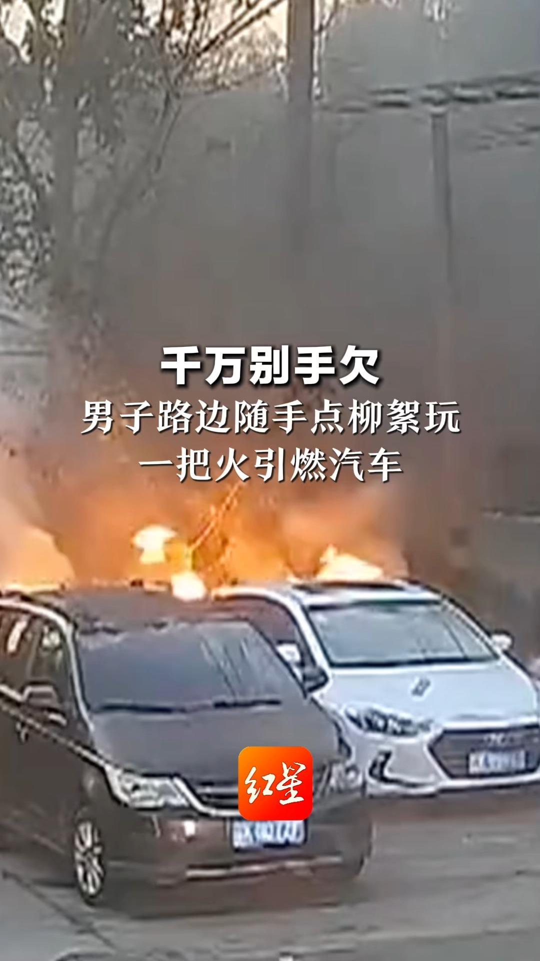 千万别手欠 男子路边随手点柳絮玩 一把火引燃汽车 被移交公安机关处理