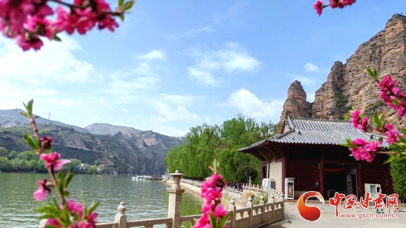 春日的炳灵寺景区，桃花掩映下的古建筑与黄河相映成趣。
