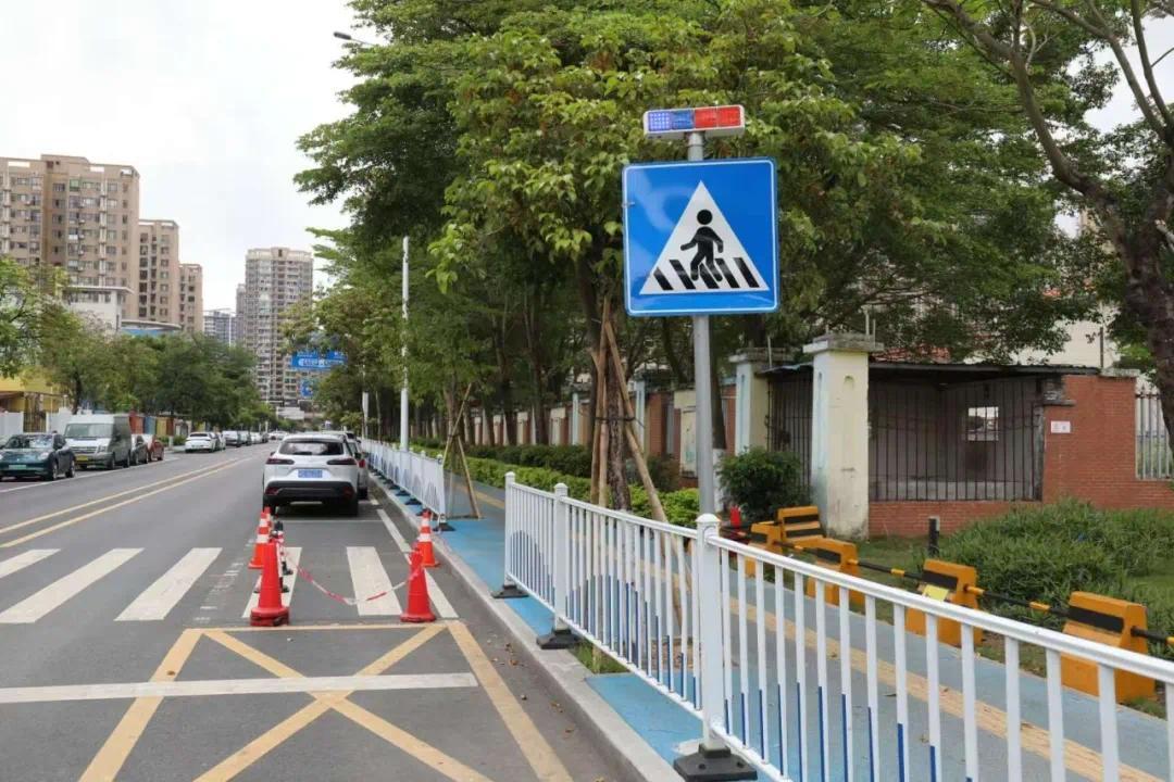 人车混行、设施缺失 珠海金湾升级30所学校周边道路环境