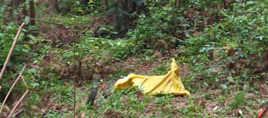 吓人！赣州一居民家中惊现3米长眼镜王蛇（图）