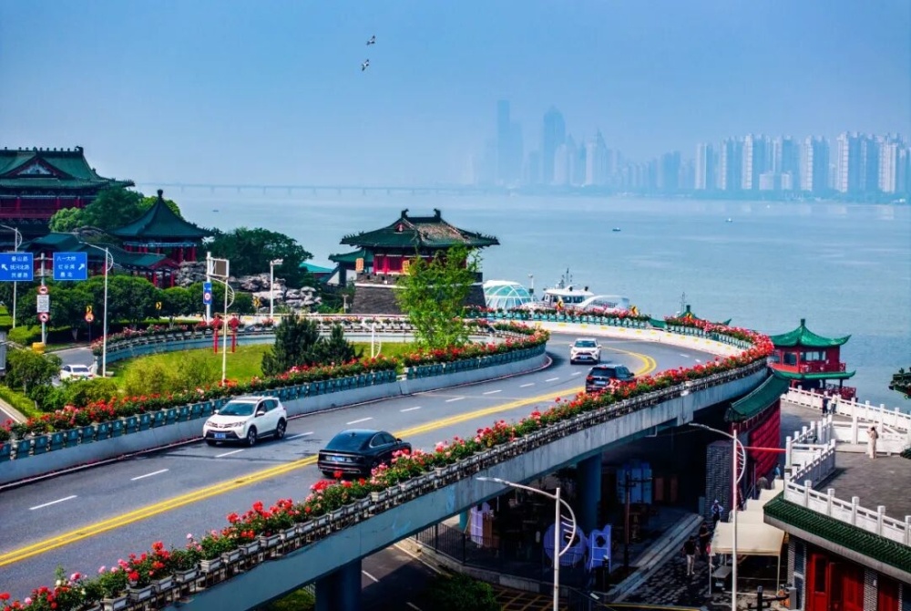 南昌：一路繁花（图）