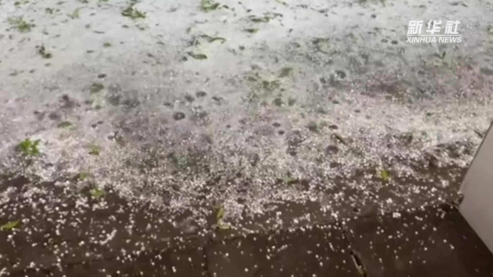 云南嵩明突降冰雹 受损情况在排查中