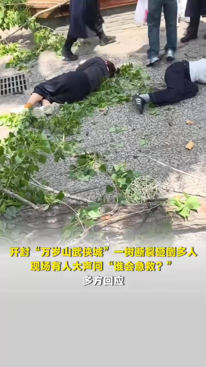 开封万岁山一棵树断裂砸倒多名游客，多方回应万岁山树断裂砸倒多名游客