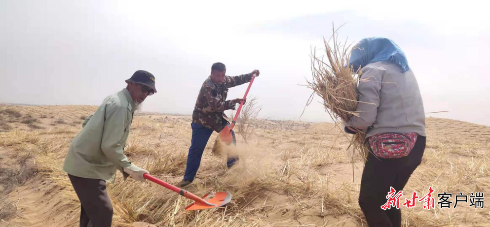 王银吉（中）和父亲王天昌（左）压沙　凉州区融媒体中心提供
