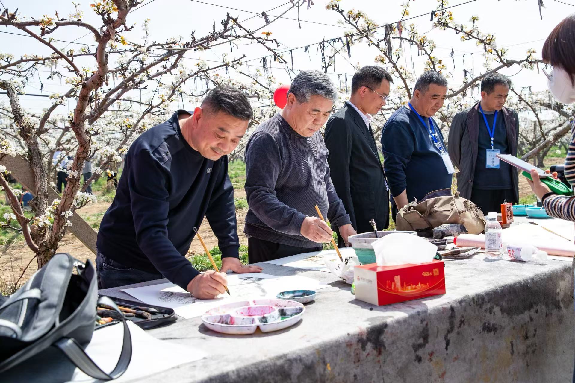 青岛乡里乡亲｜梨园花似雪 “村庆”味正浓——莱西第十一届梨花节侧记