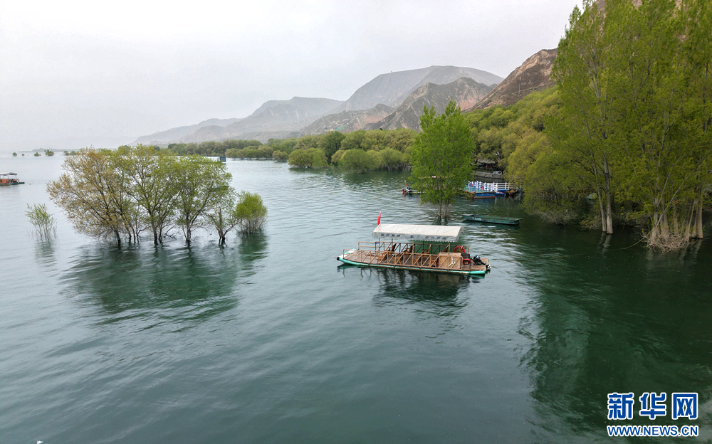 雨润魏家坡　新华网发（王生元　摄）