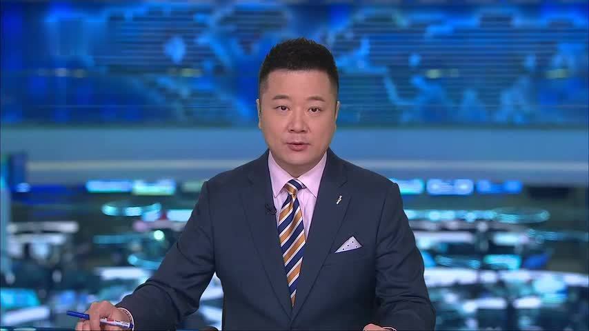 中国驻越大使介绍苏林访华成果