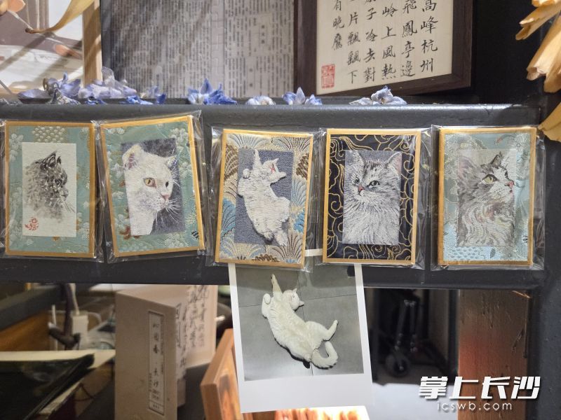 湘江评论打卡点内摆放着还未被领走的宠物冰箱贴，中间为店内一只叫“小金”的白猫。均为长沙晚报全媒体记者 杨芸 摄