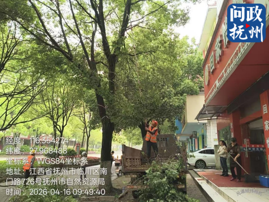 ▲图片由部门提供