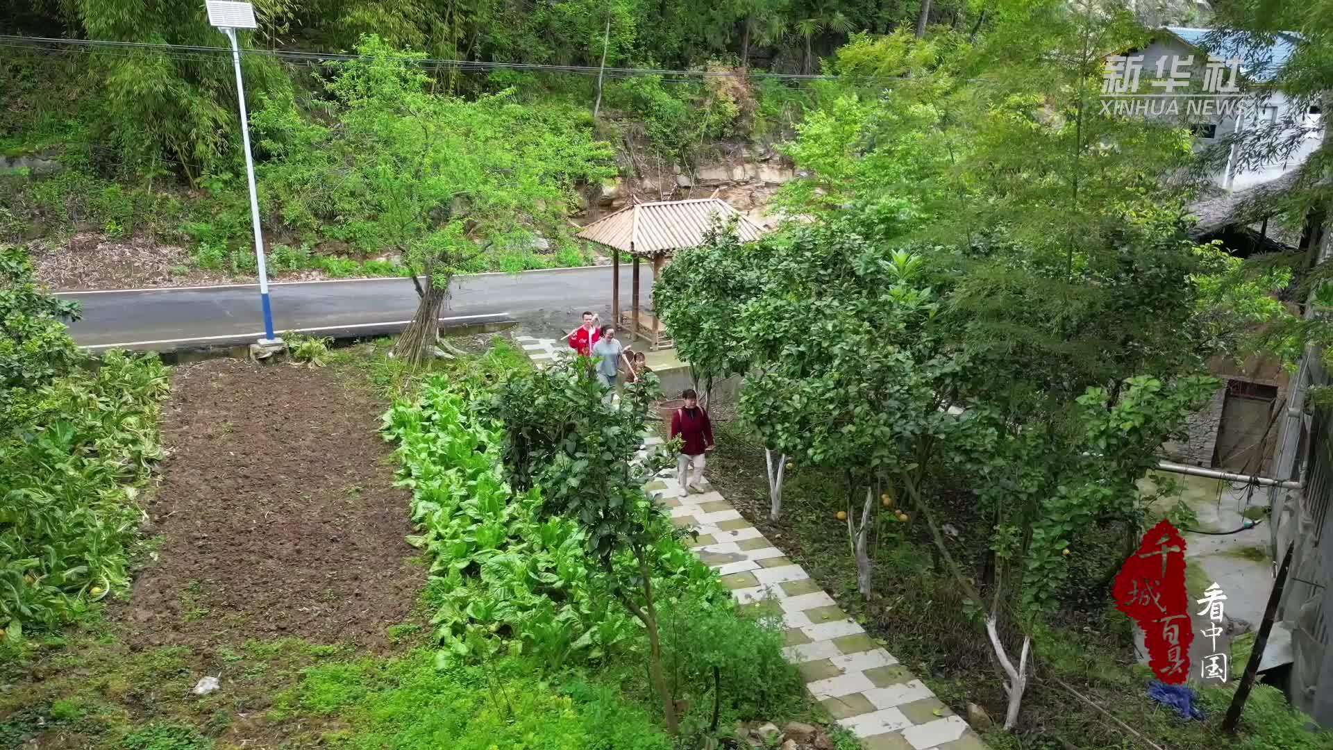 千城百县看中国｜湖北建始：春笋春味