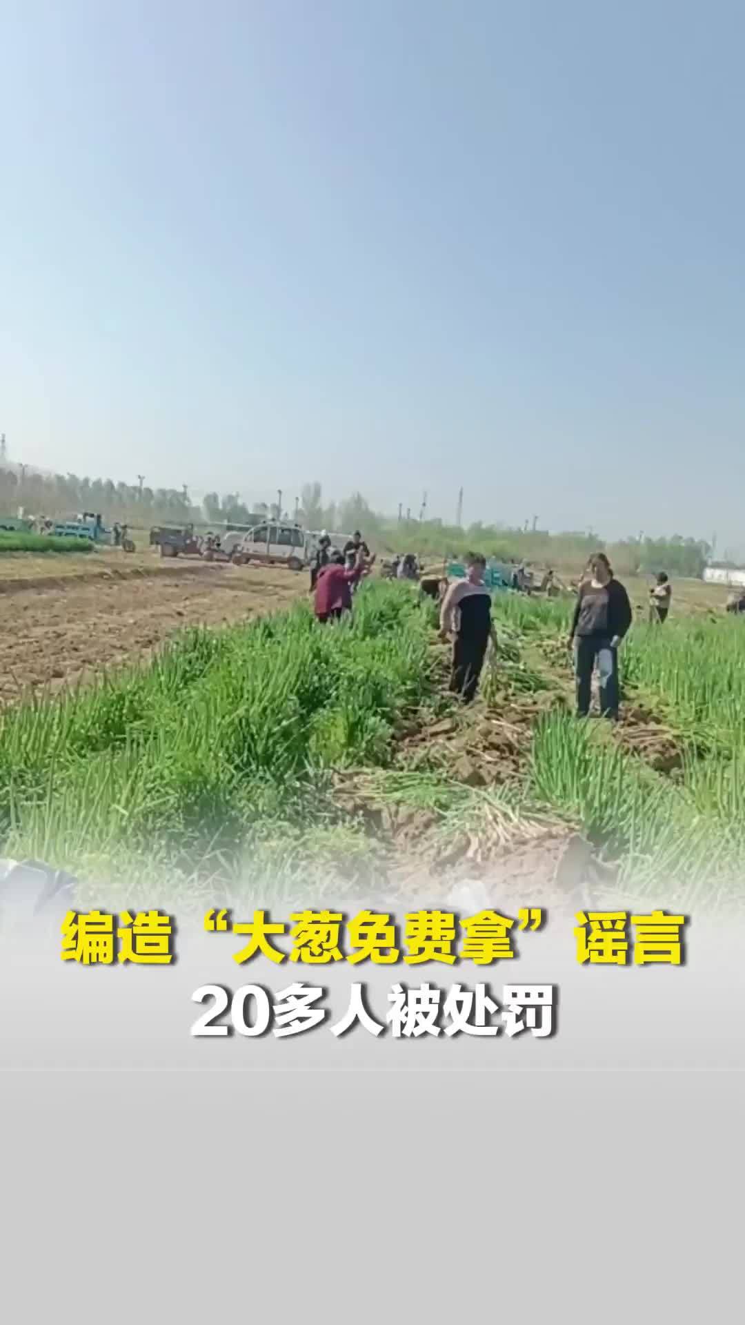 编造“大葱免费拿”谣言，造成种植户财产损失；20多人被处罚