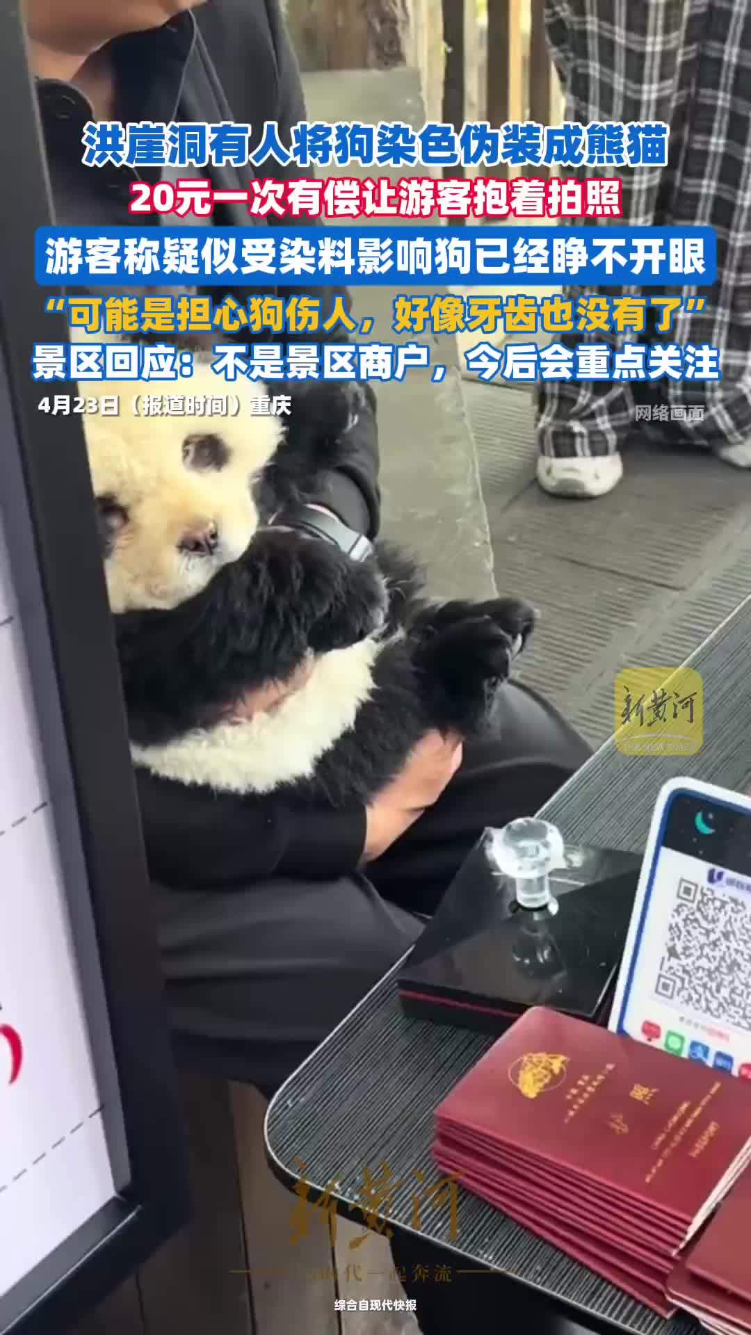 重庆洪崖洞有人将狗染色伪装成熊猫收费拍照，多名游客称狗已经睁不开眼，景区回应