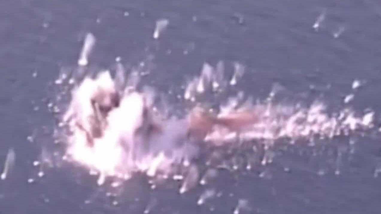 两伊战争后期，伊朗封锁霍尔木兹海峡，并与美海军中东特遣舰队激战一天