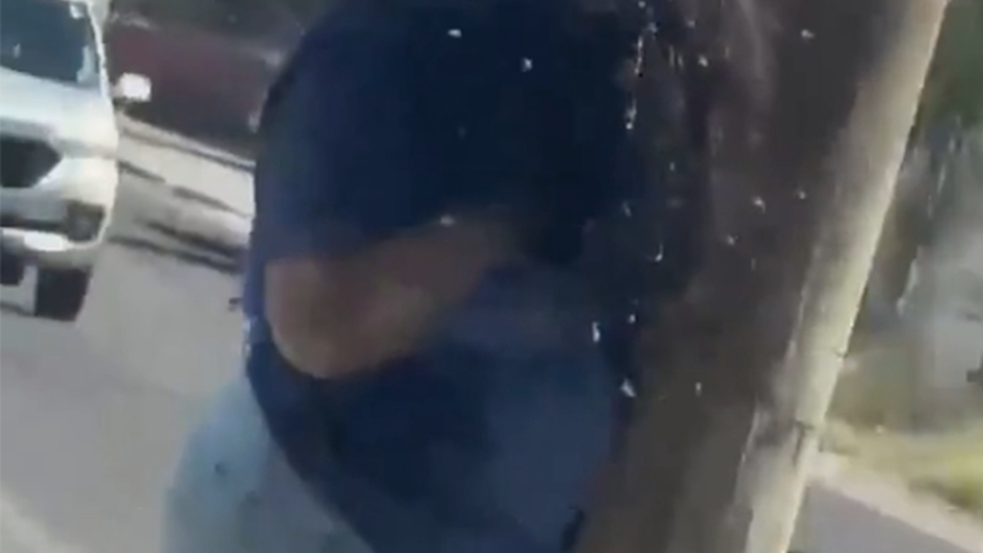 吓人！墨西哥一女子在大街上被蜂群围攻，军队出动将其解救，女子全身遭数百处蛰伤