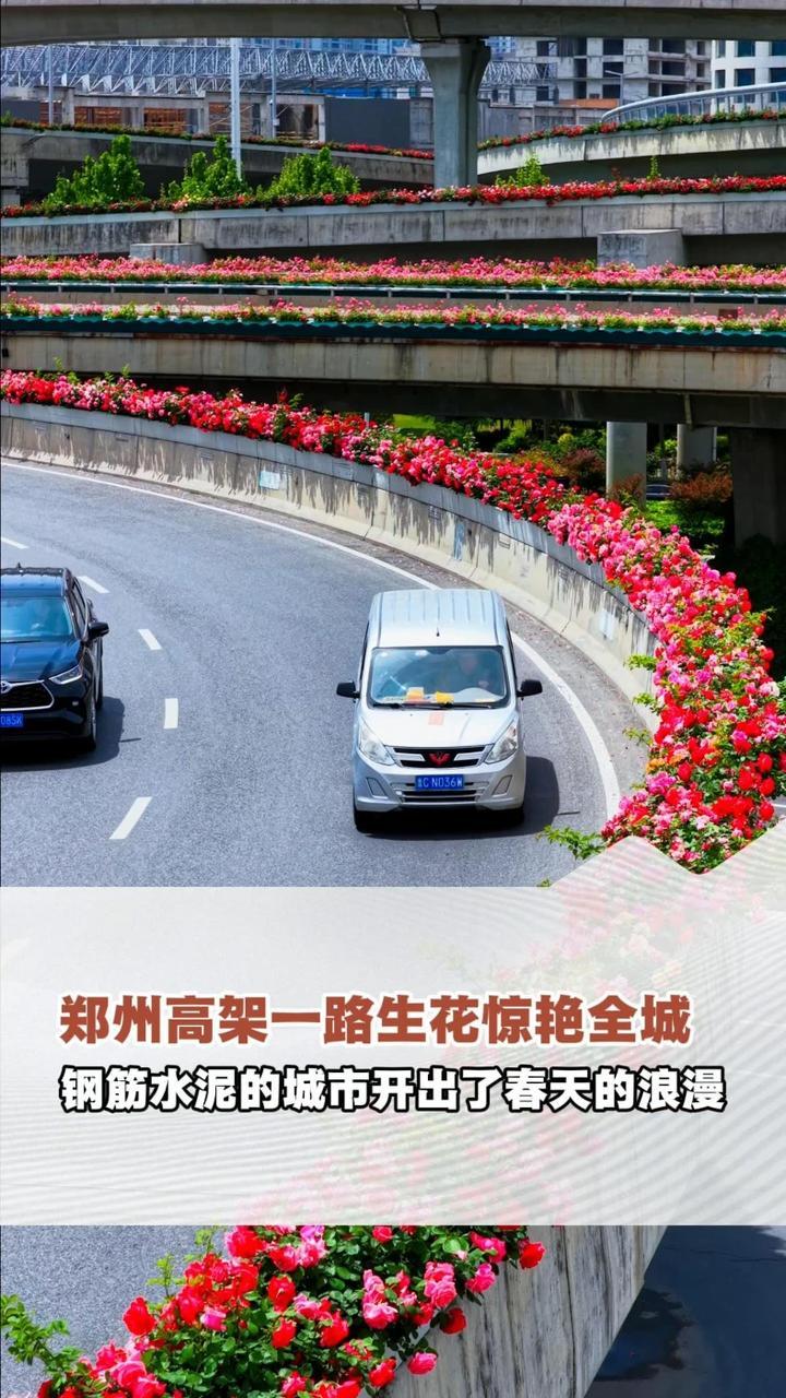 近日，#郑州高架一路生花惊艳全城 钢筋水泥的城市开出了春天的浪漫，这样的郑州你爱了么？（顶端新闻记者 宋亚猛）