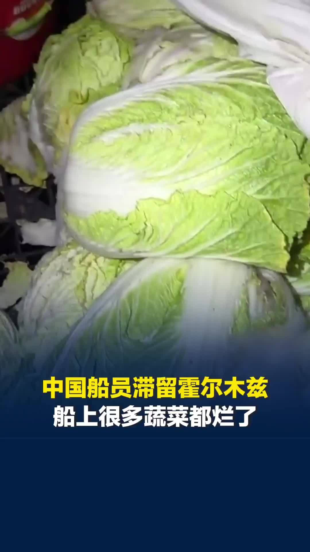 中国船员滞留霍尔木兹60天②船上很多蔬菜水果都烂了，战争后中东物价飞涨