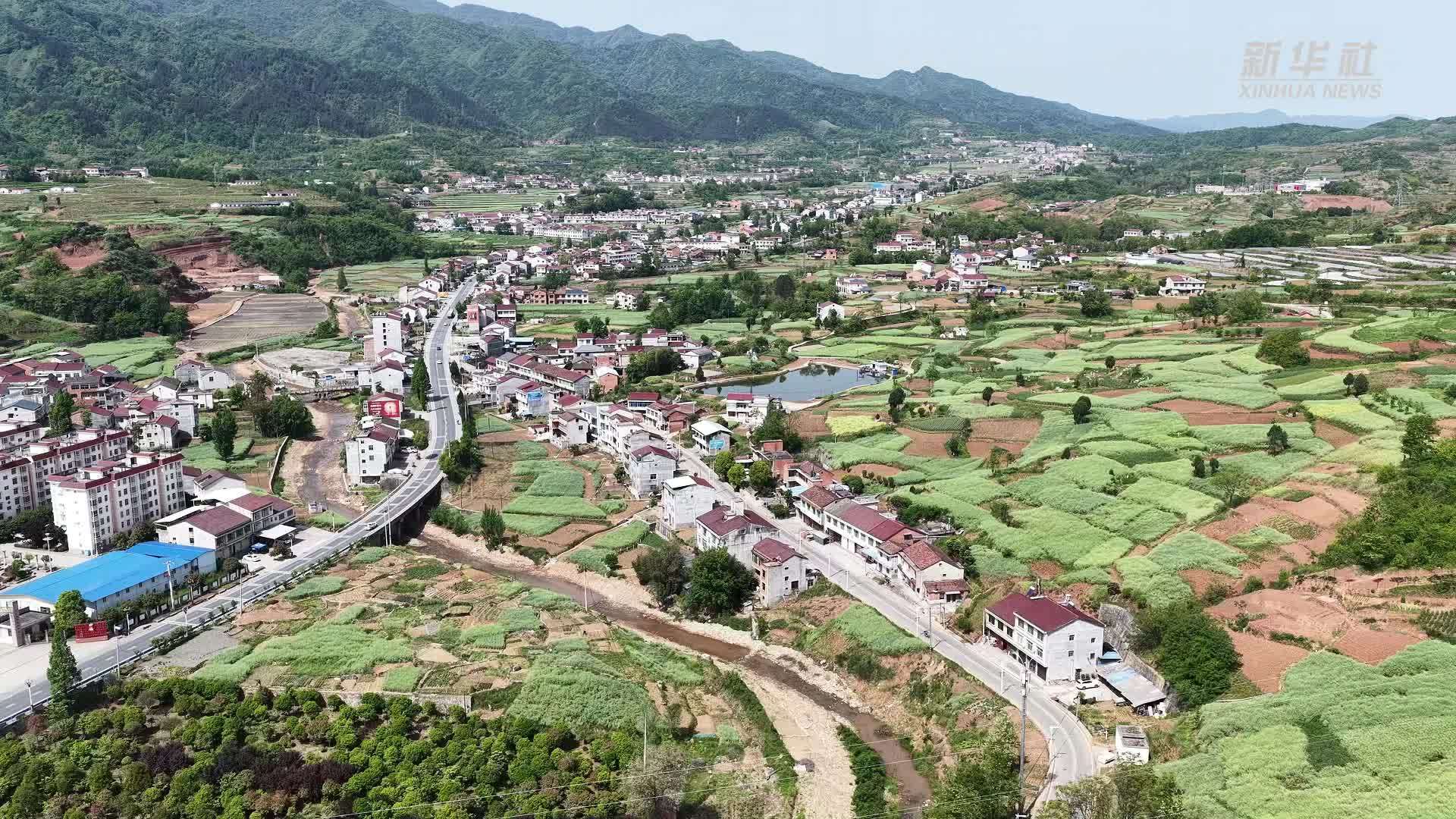 陕西汉阴：沃野备耕忙 描绘新希望