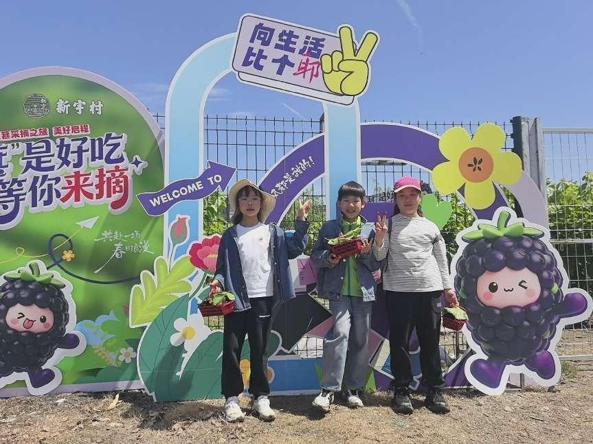 “虾”日狂欢正当时！临平运河以“虾”为媒串起乡村共富链