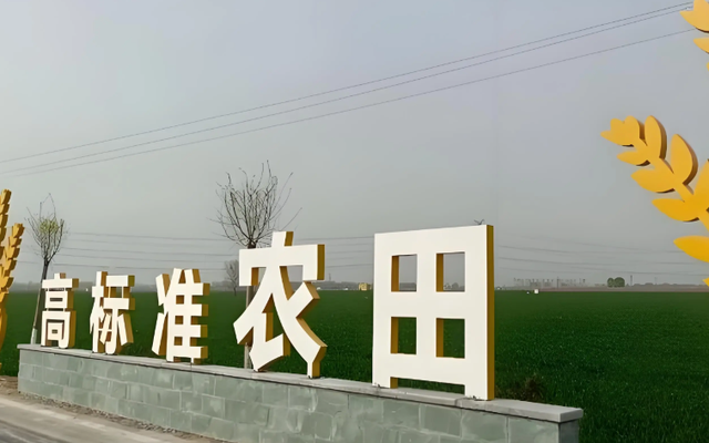 万亿高标准农田，被纳入全国专项整治：6个环节都要查，谁在粮田上挖坑？