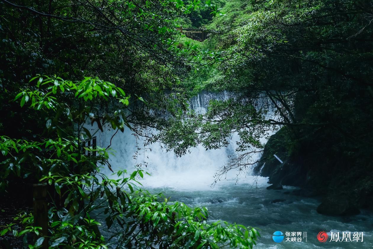 在大自然中康养：张家界大峡谷的美景。