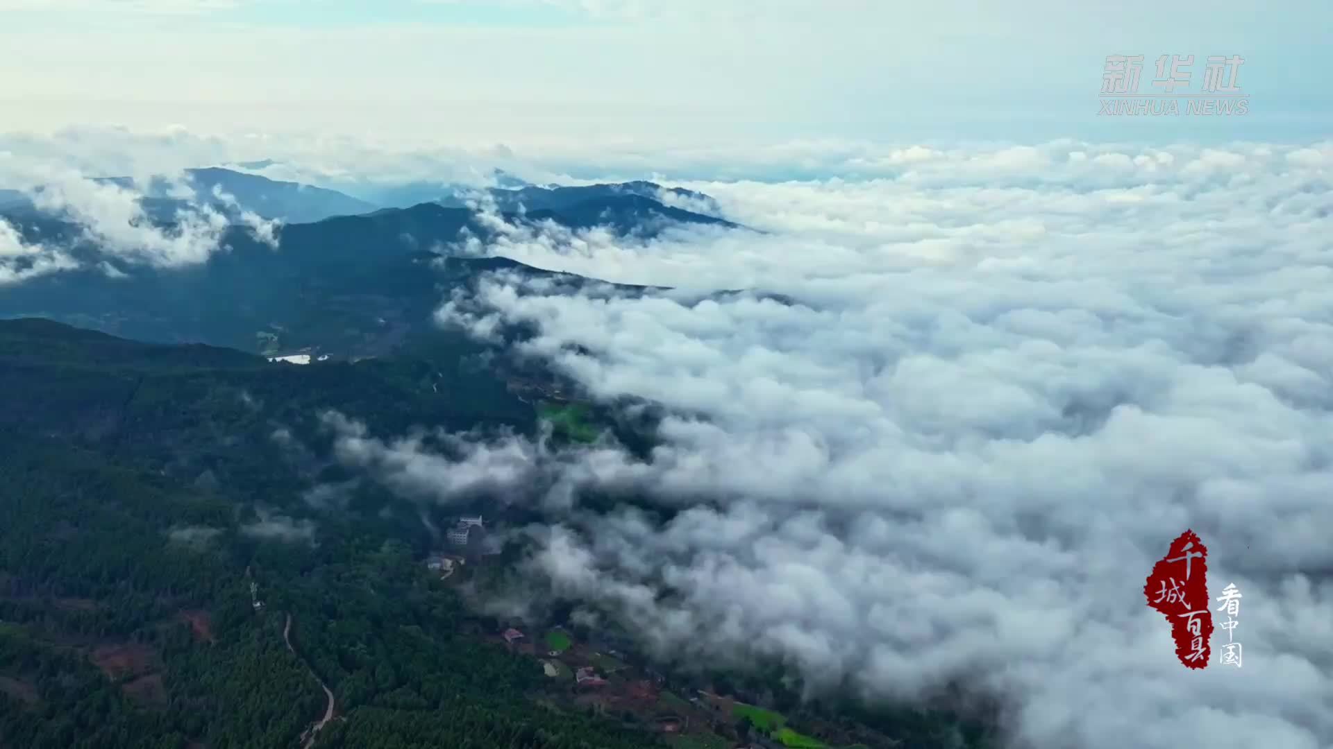 千城百县看中国｜四川梓潼：古柏森森蕴文脉