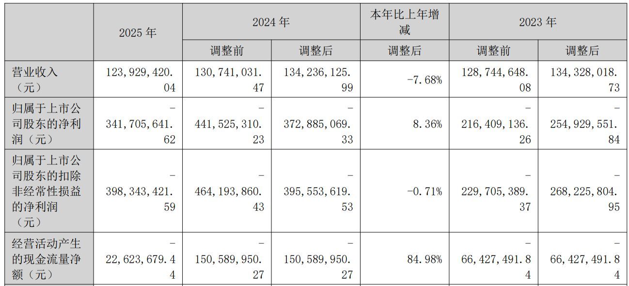 图片来源：*ST新元2025年年度报告
