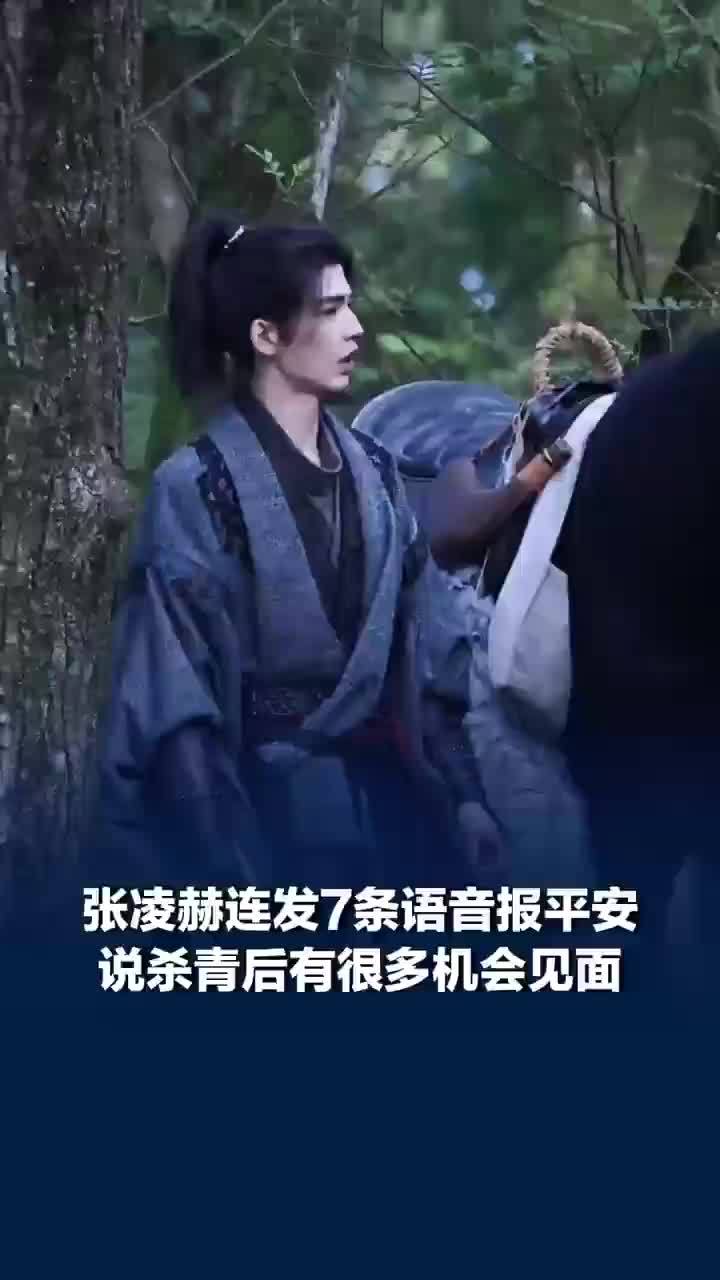 张凌赫发语音报平安