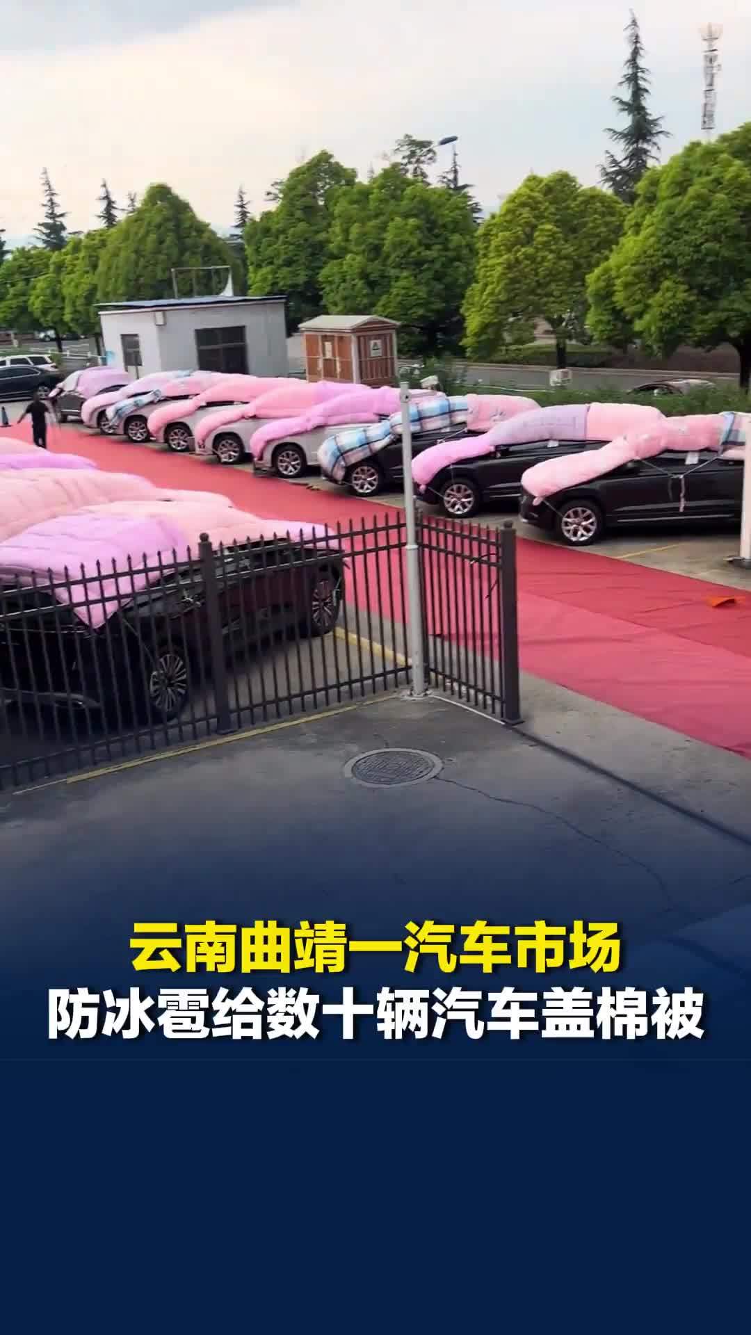 云南曲靖一汽车市场为防冰雹，给数十辆汽车盖棉被！每辆车盖了三床，工作人员回应