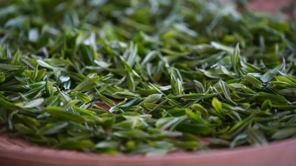 （图源：公众号“岚山发布”）