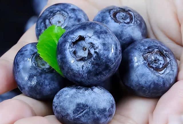 蓝莓是血栓的溶剂？医生再次提醒：不想血管堵塞，少吃这4种食物