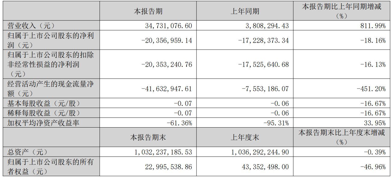 图片来源：*ST新元2026年第一季度报告