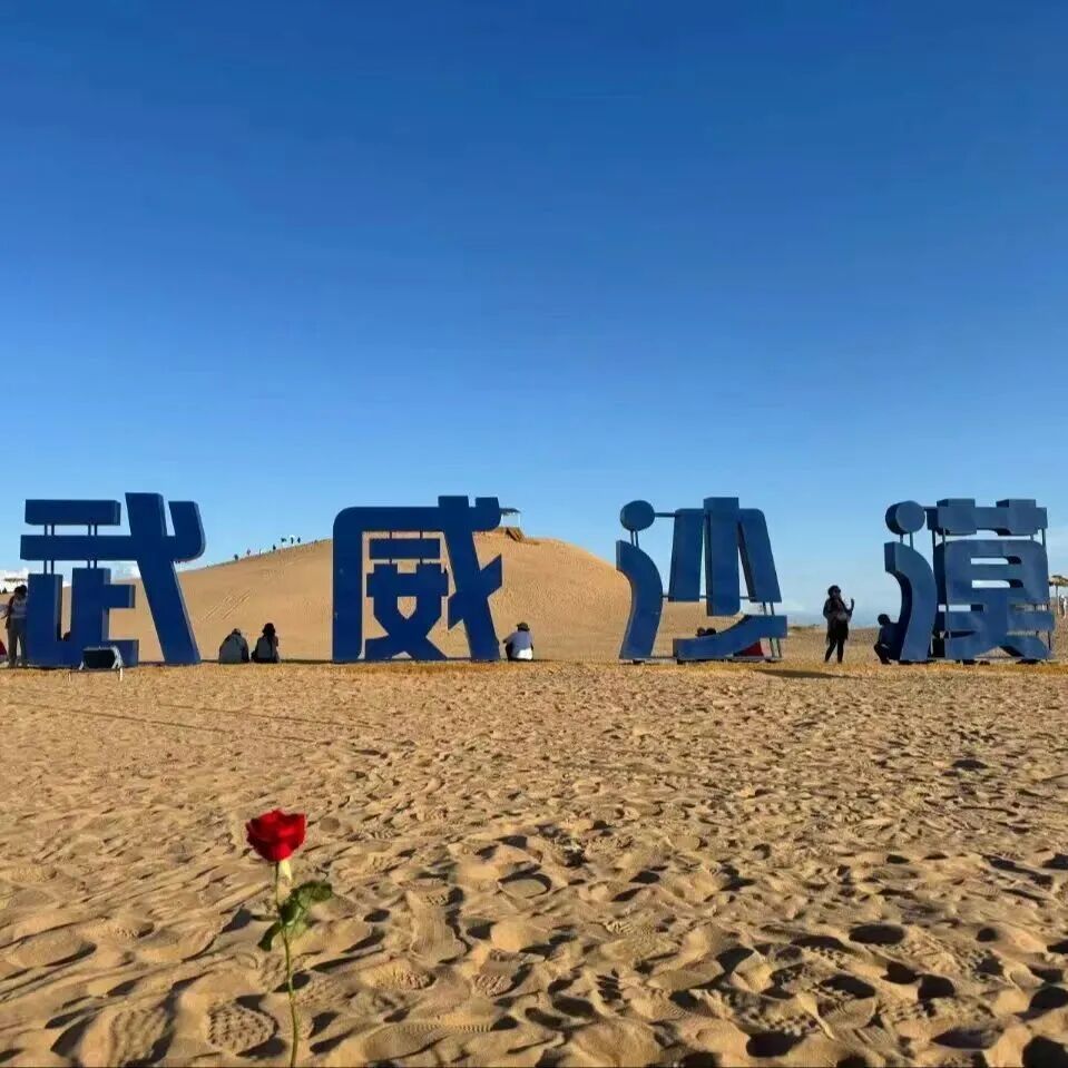 图源：武威沙漠景区