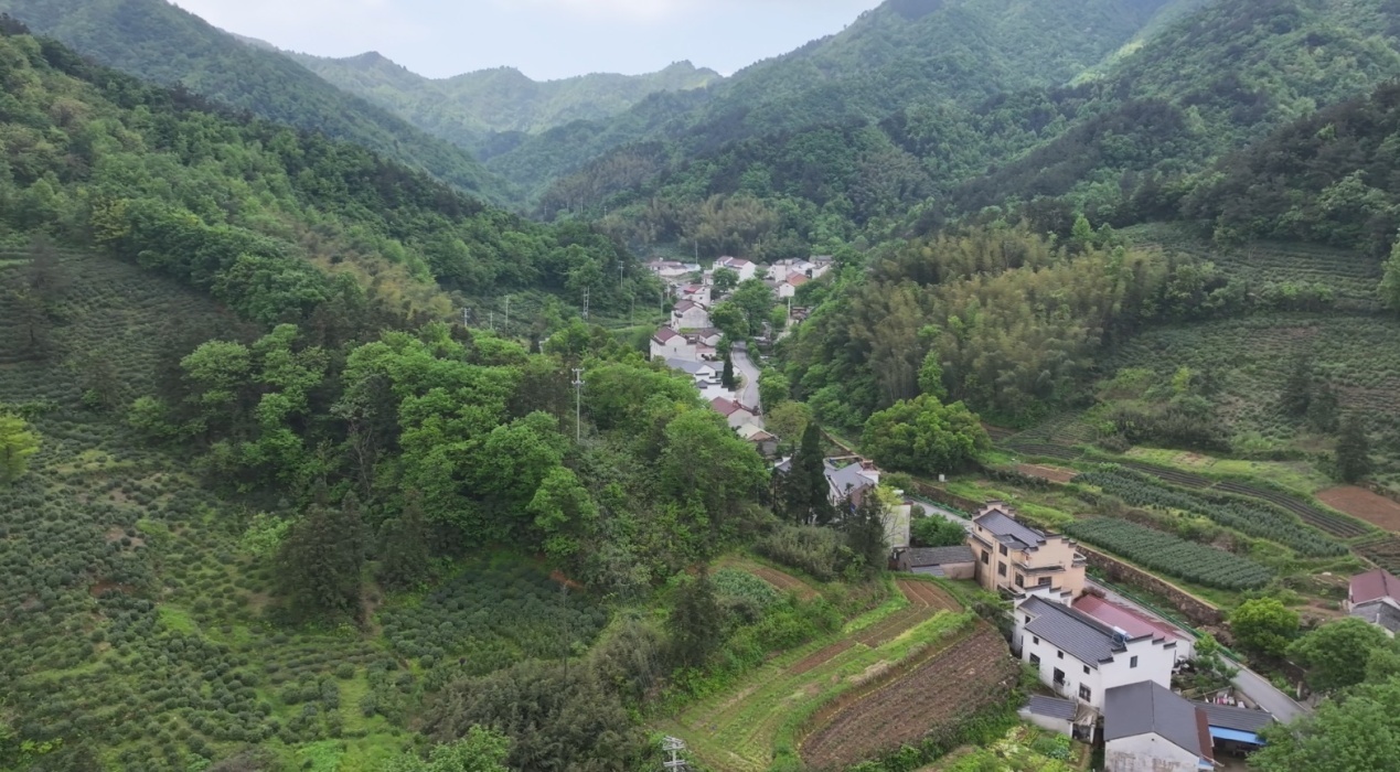 藏在山谷里的民宿群