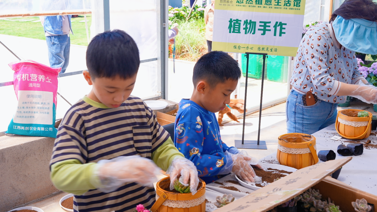 花海绽放迎客来！第二届南昌园艺展今日启幕