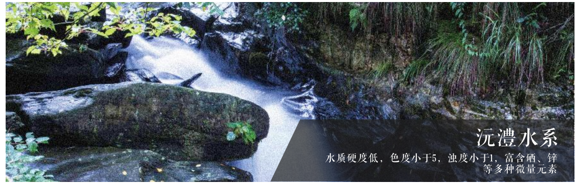 沅江畔，武陵酒，以匠心铸就中国名酒品质
