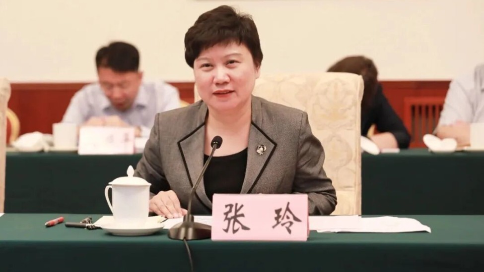 张玲,出任天津市委统战部部长_凤凰网