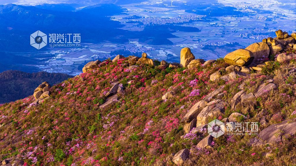 4月26日在江西省吉安市新干县七琴镇燥石景区拍摄的画面。