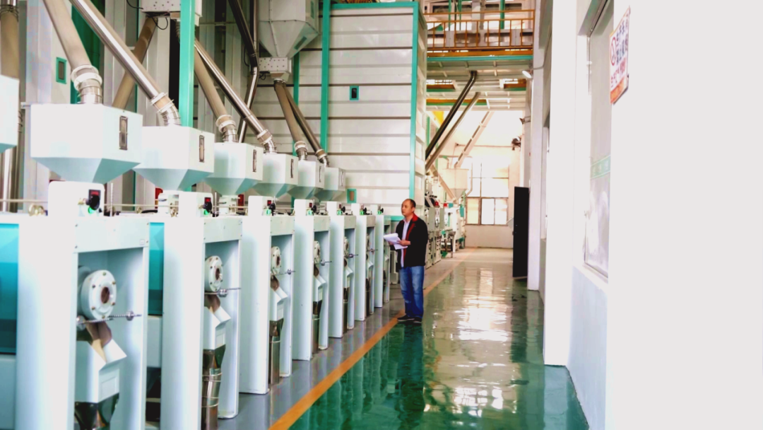 估值126亿元！一根江西米粉火到全球10余国(图2)