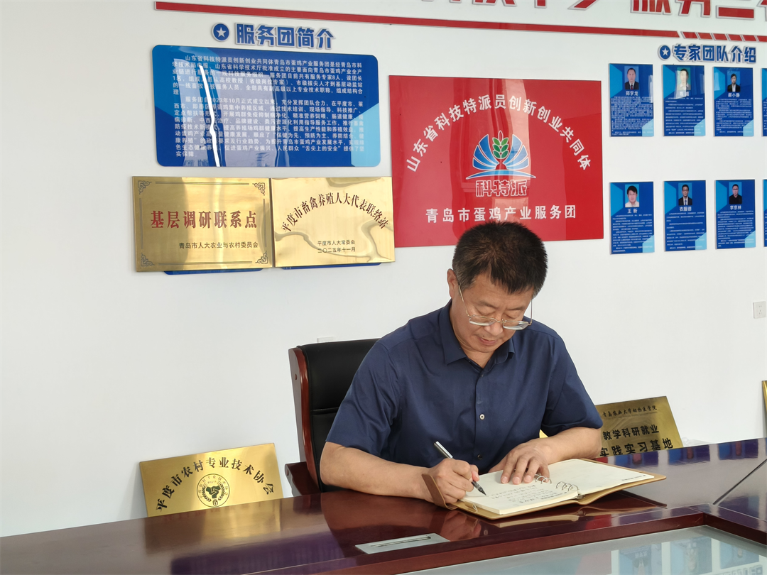 青岛市人大代表陈锡佐：用“小鸡蛋”串起乡村振兴大链条