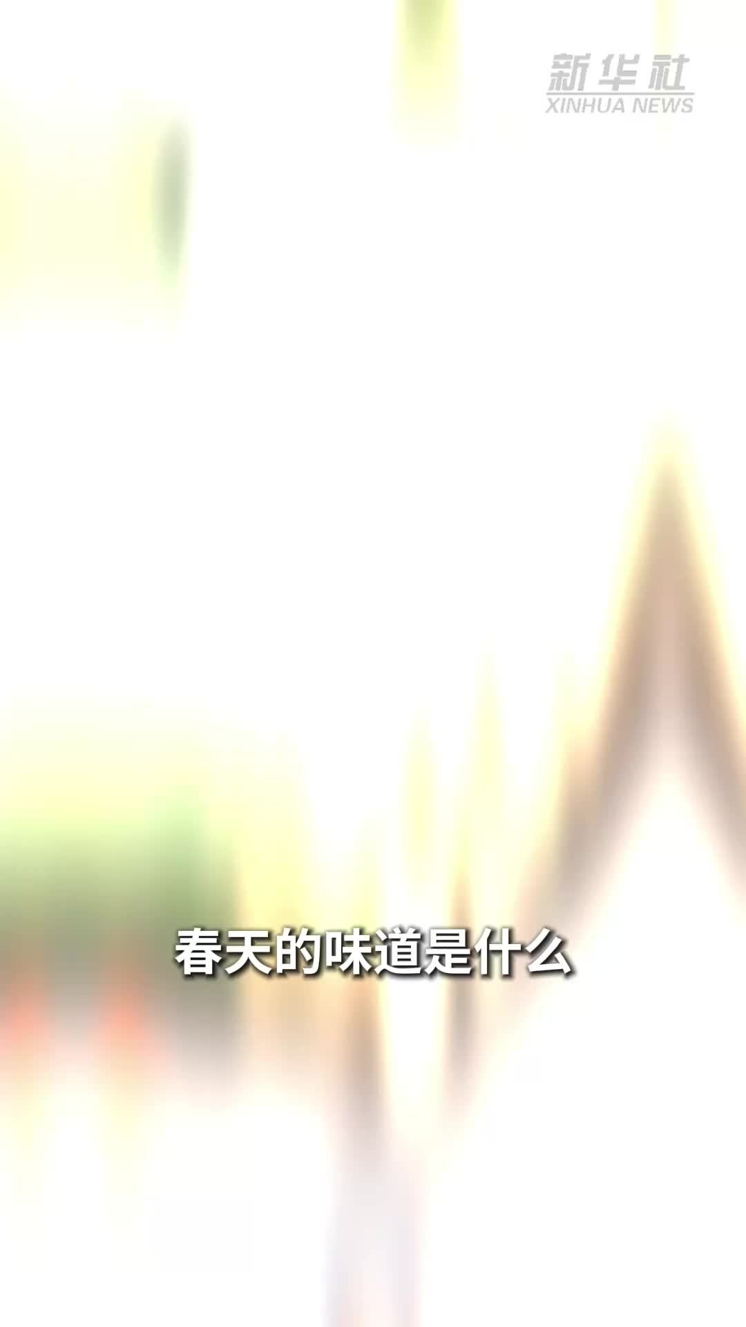 文化中国行｜一杯竹筒做的茶，是什么味道？
