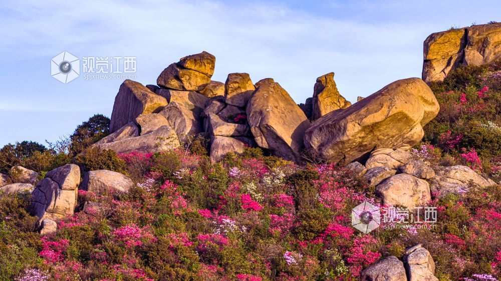 4月26日在江西省吉安市新干县七琴镇燥石景区拍摄的画面。