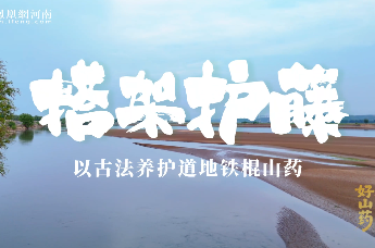 谷雨搭架，铁棍山药的农耕非遗美学