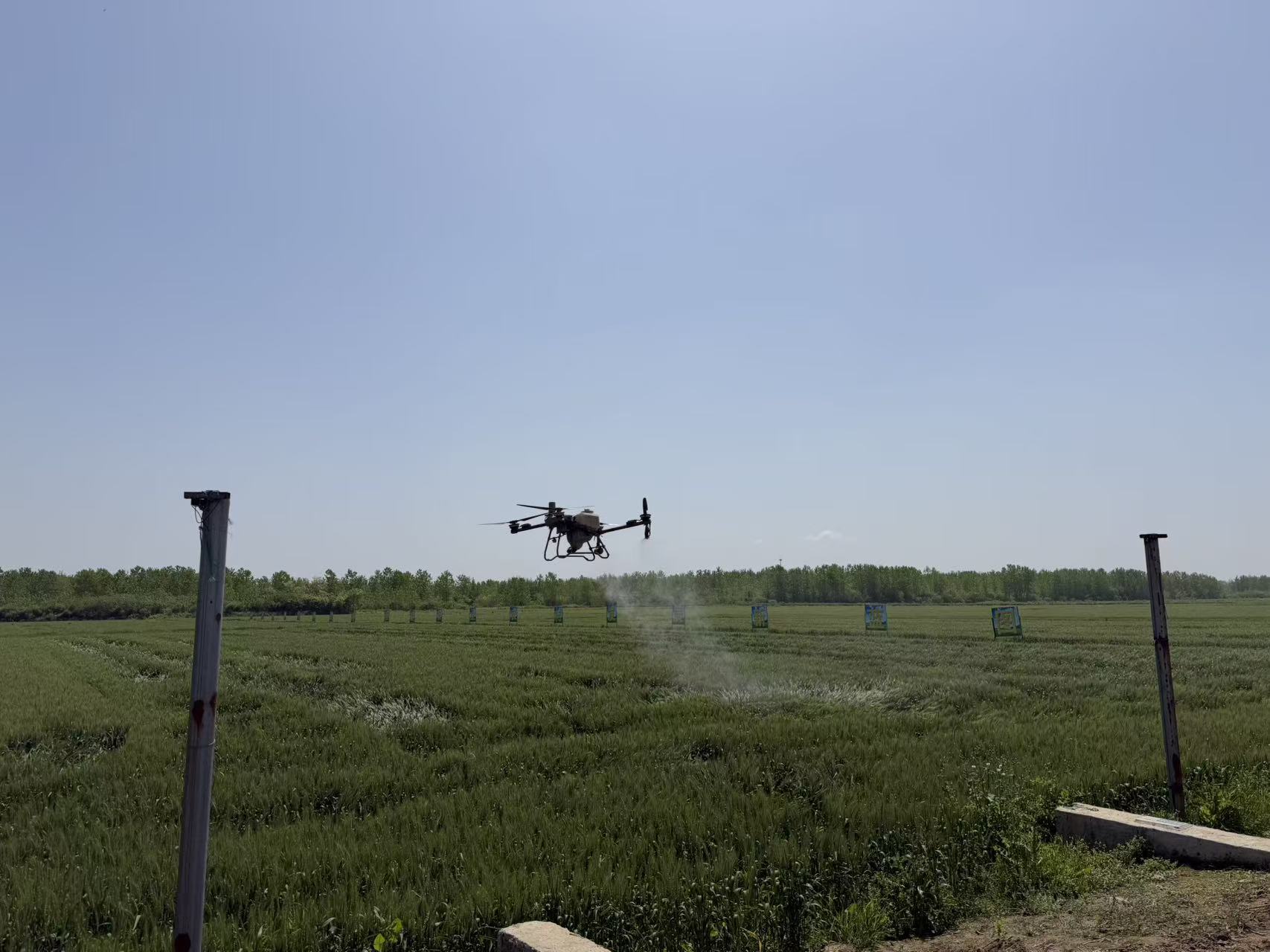 绿浪间的科技答卷！无人机穿梭、精量播种，六合解锁夏粮丰产新姿势