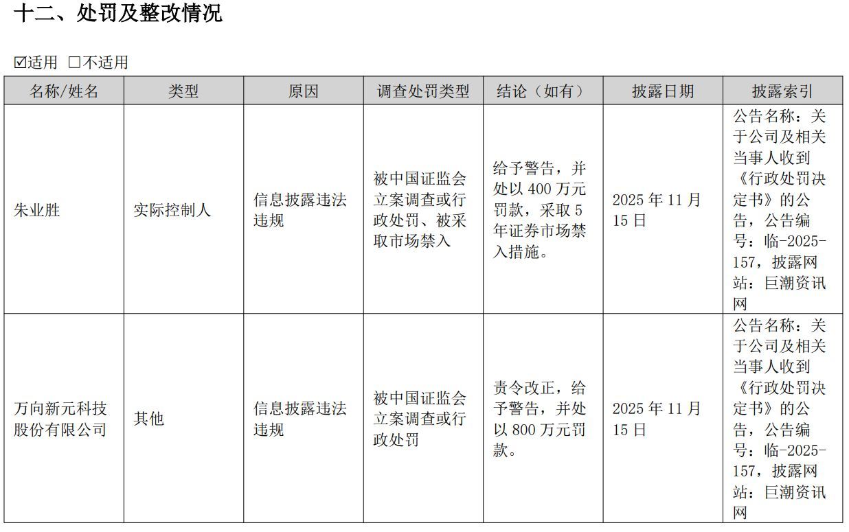 图片来源：*ST新元2025年年度报告
