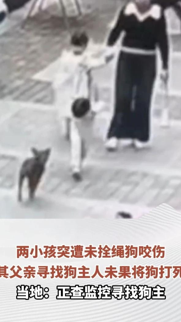 两小孩突遭未拴绳狗咬伤，其父亲寻找狗主人未果将狗打死，当地：正查监控寻找狗主