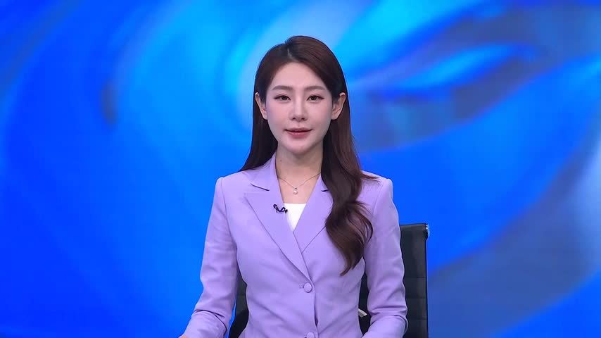 王毅会见联合国大会主席贝尔伯克