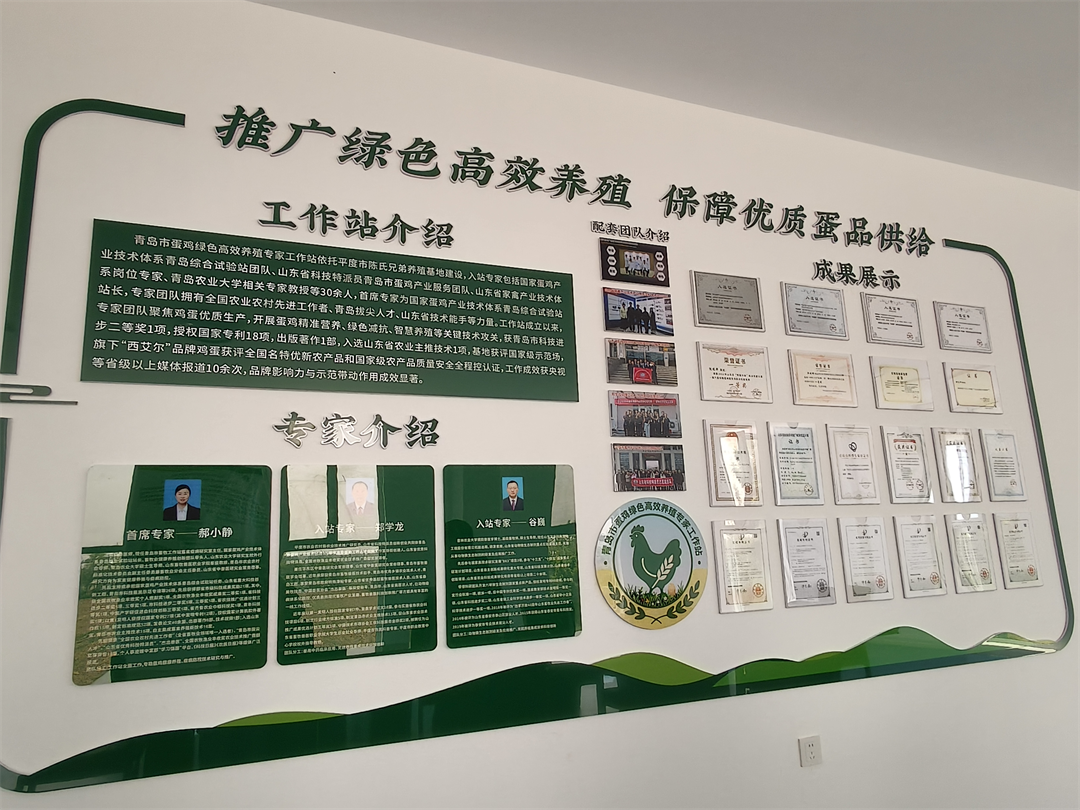 青岛市人大代表陈锡佐：用“小鸡蛋”串起乡村振兴大链条
