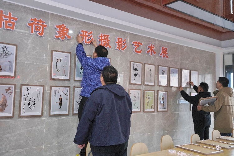 布置枯荷象形摄影艺术展