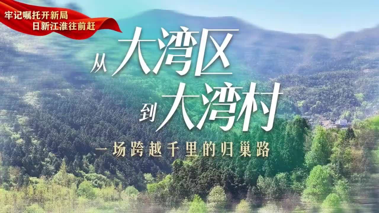 牢记嘱托开新局 日新江淮往前赶|从大湾区到大湾村 一场跨越千里的“归巢”路大皖新闻讯 眼下正值旅游旺季，大湾村喜来山庄老板娘闵玲穿梭在灶台与餐桌之间，张罗个不停。待最后一桌客人离席，她又匆匆上楼整理民